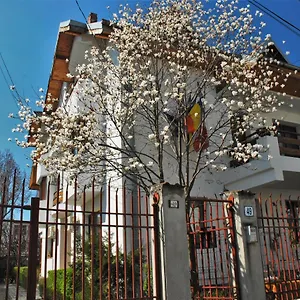 La Noblesse *** Bükreş